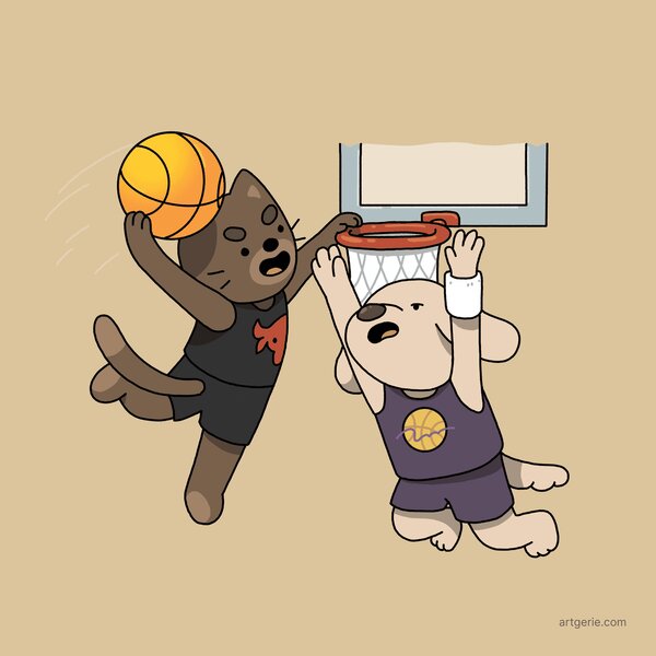 A cat and dog playing basketball